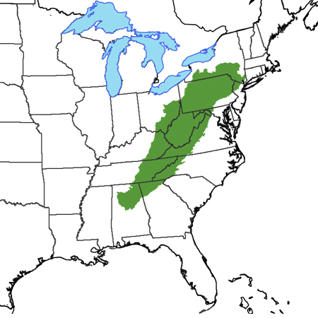 appalachian-mountains - Migratory Bird Joint Ventures