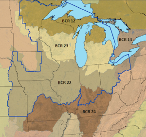 BCR Regions of Upper Miss and Great Lakes JV