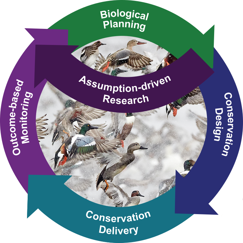 Ppjv-strategic-habitat-conservation - Migratory Bird Joint Ventures