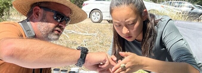 Two people working together to look at a bird's molt and apply a band.